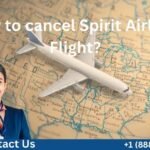 How to cancel Spirit Airlines Flight?