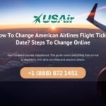American Airlines Flight